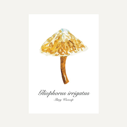Slimy Waxcap Mushroom Botanical Art Print
