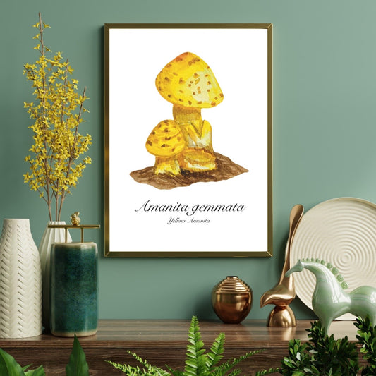 Yellow Amanita Mushroom Botanical Art Print