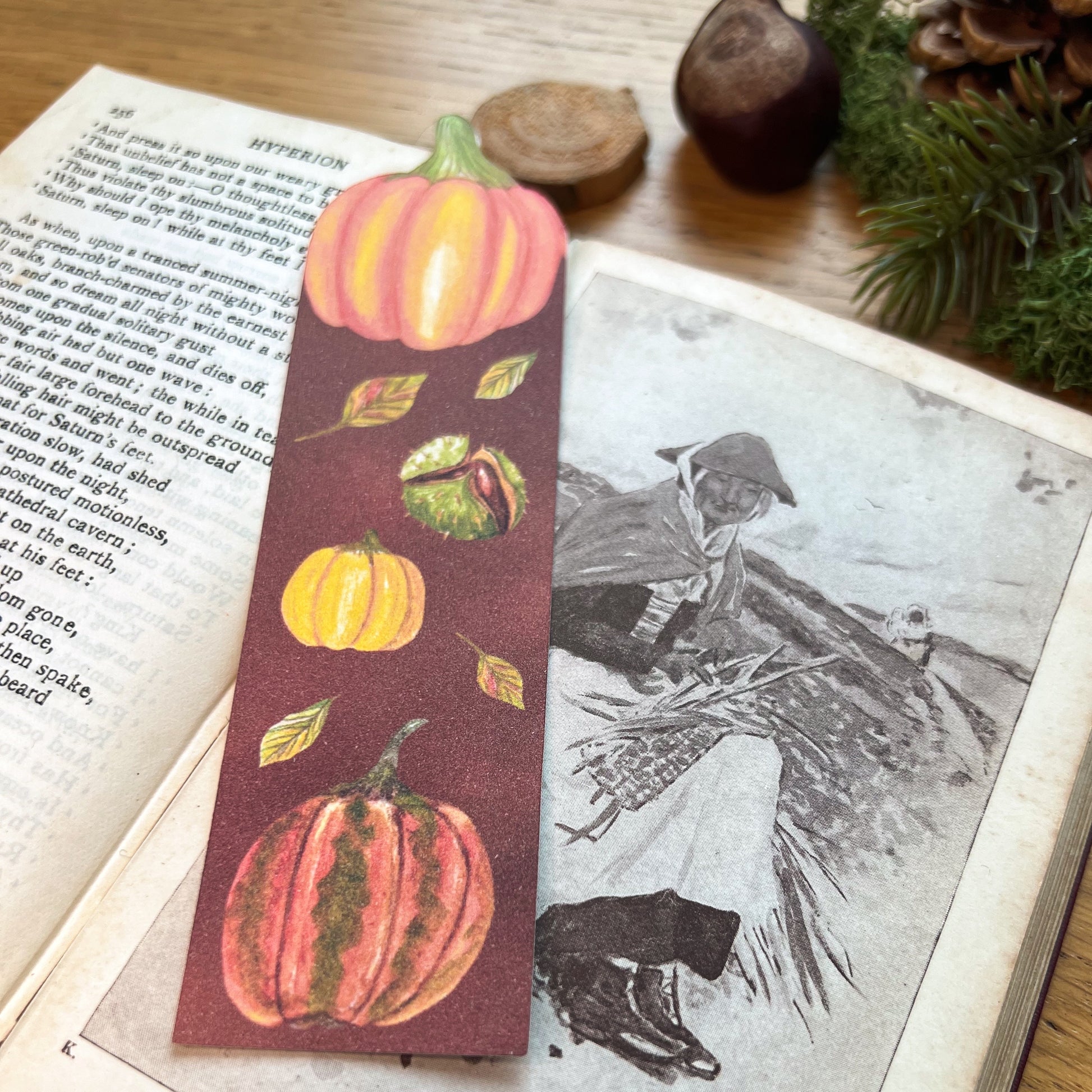 Fall Forage Pumpkin Bookmark featuring two orange and one yellow pumpkins with autmnal leabes tumbling dow the illustrated bookmark. An orange Cinderella pumpkin is cut out at the top, and the bookmark is resting on the open pages of a book
