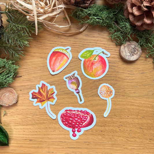 Woodland Walk Die Cut Sticker Set features 6 matte linen easy peel stickers including apple, acorn, seed pods, pomegranate and maple leaf