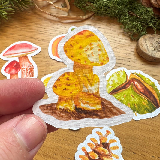 Kat holding Yellow Gourd Mushroom sticker in front of Fall Forage Die Cut Easy Peel Stickers laid out on a wooden desk decorated with green moss, straw, pines and wooden slices. Stickers include pumpkins, mushrooms, conker and pine cone