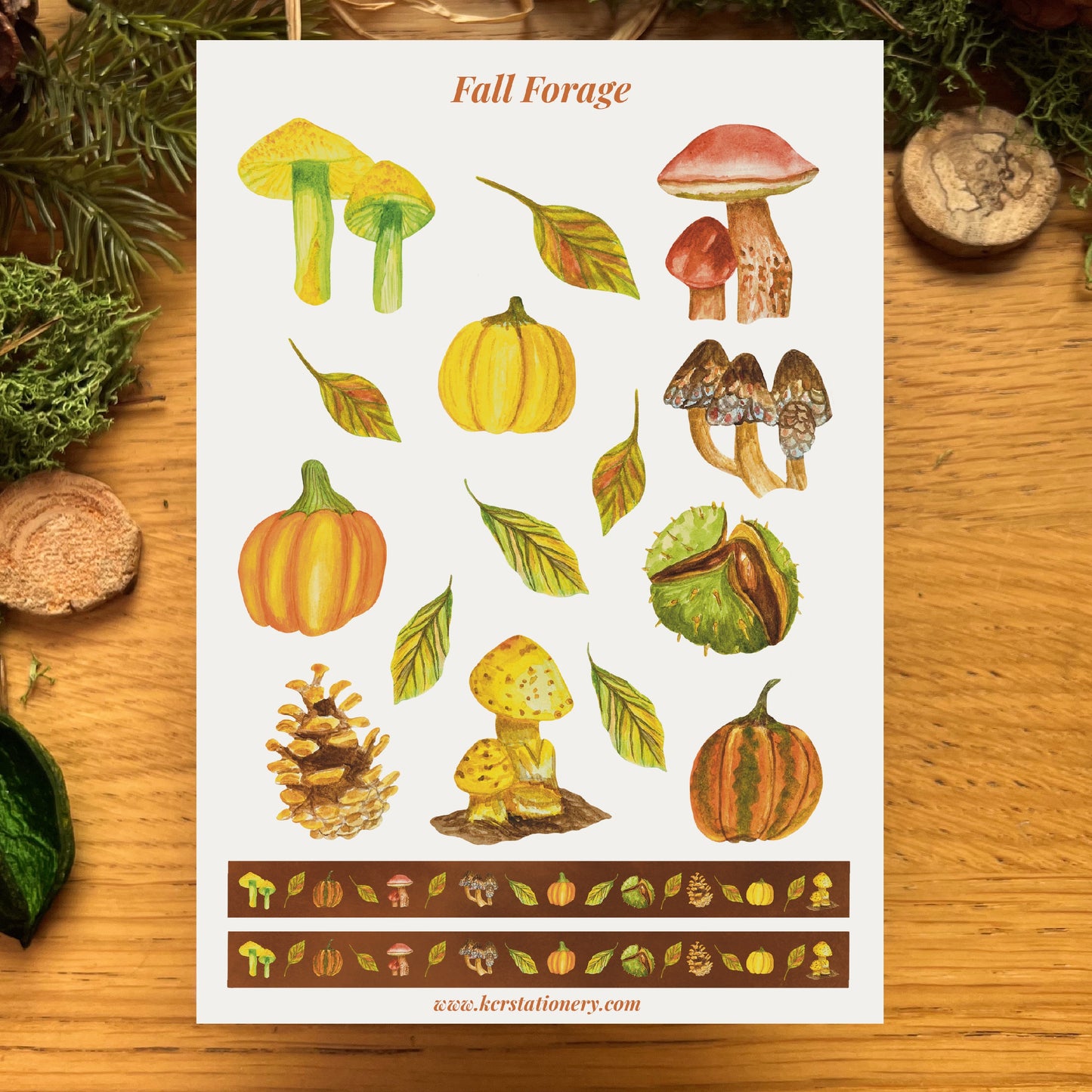 Fall Forage Sticker Sheets & Washi