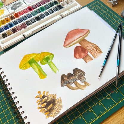 Original watercolour paintings of mushrooms by Kat Lovatt