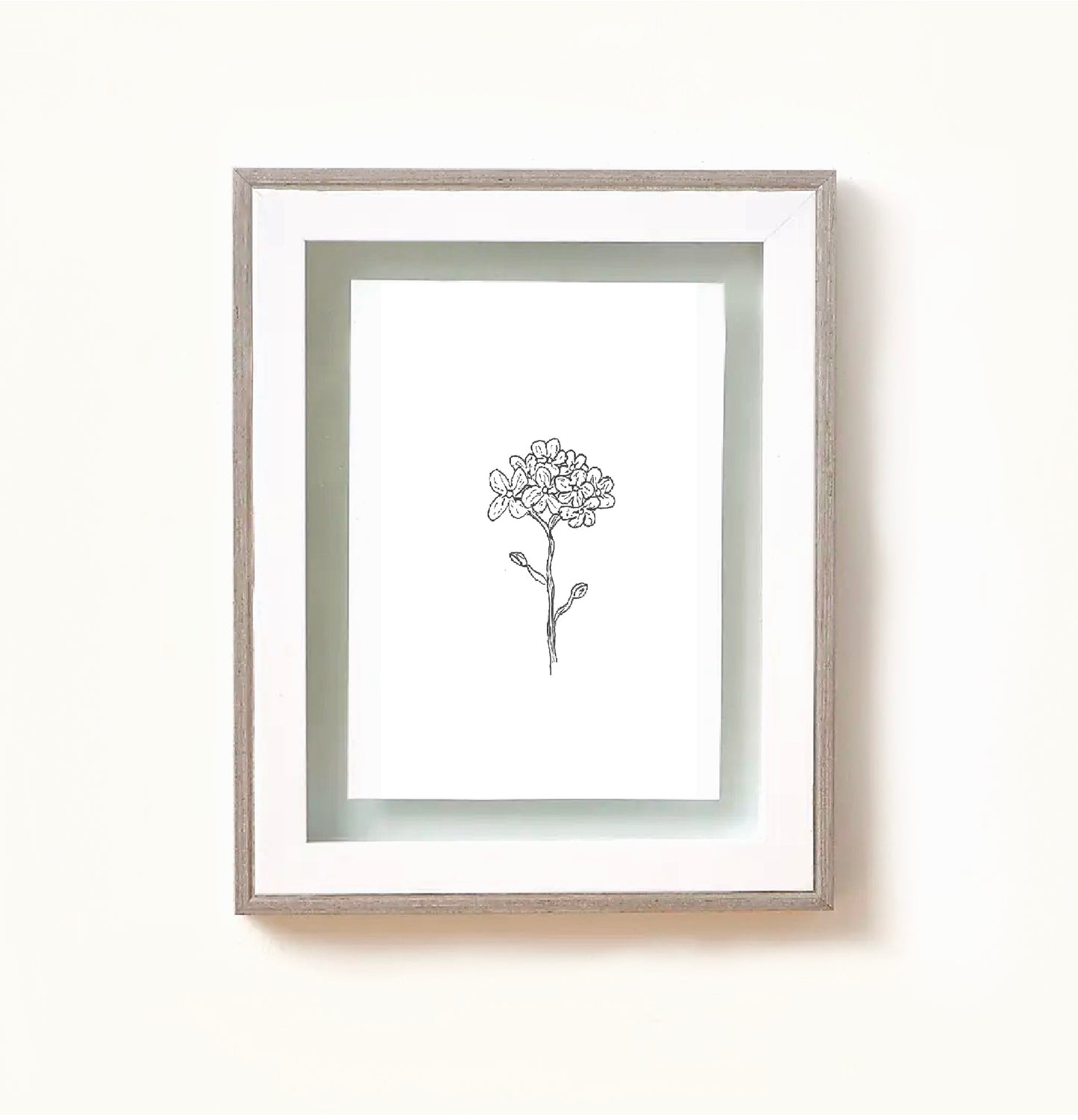 Forget me not flowers drawn in black ink on white paper, framed in a white and white washed wooden frame