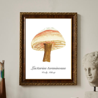 Woolly Milkcap Mushroom Botanical Art Print