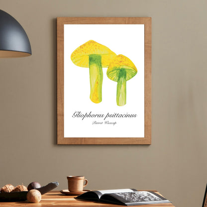 Parrot Waxcap Mushroom Botanical Art Print