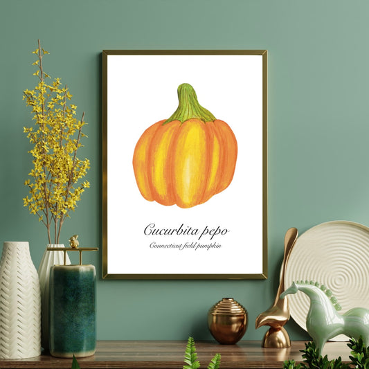 Connecticut Pumpkin Botanical Art Print