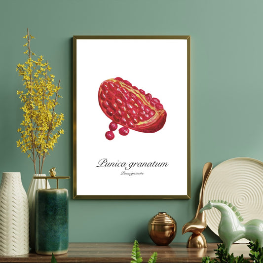 Pomegranate Botanical Art Print