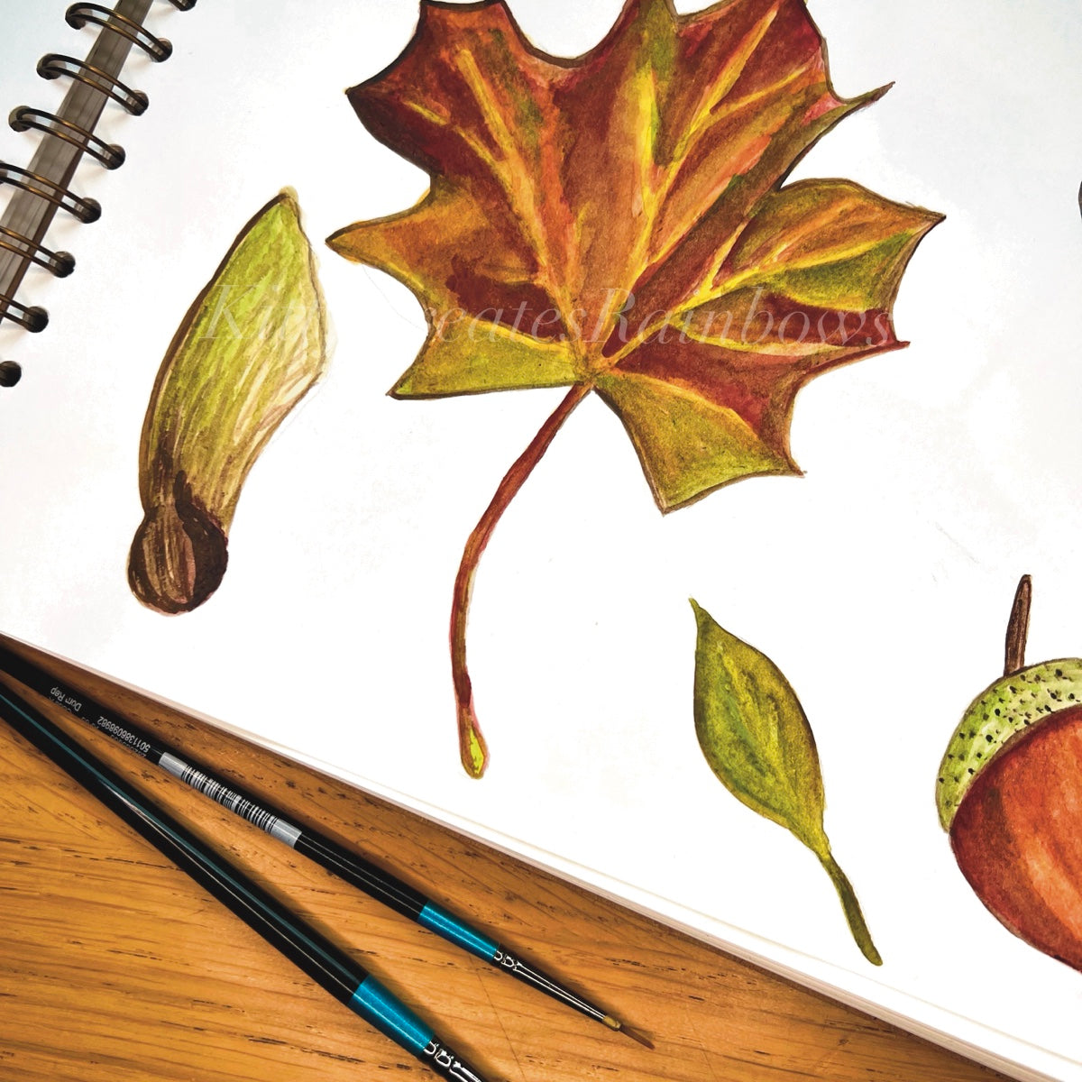 Watercolour paintings of brown maple leave, green sycamore seed and a tiny green leaf in a sketchbook page with paintbrushes laying next to the open sketchbook page, by Kat Lovatt