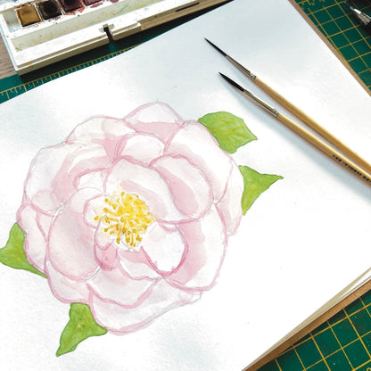 Light pink rose painted in watercolour in a sketchbook