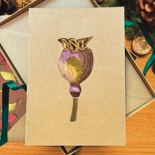 Poppy seed pod painted in watercolour attached to a natural recycled blank greetings card, laying in a box with an illustrated inlay envelope 