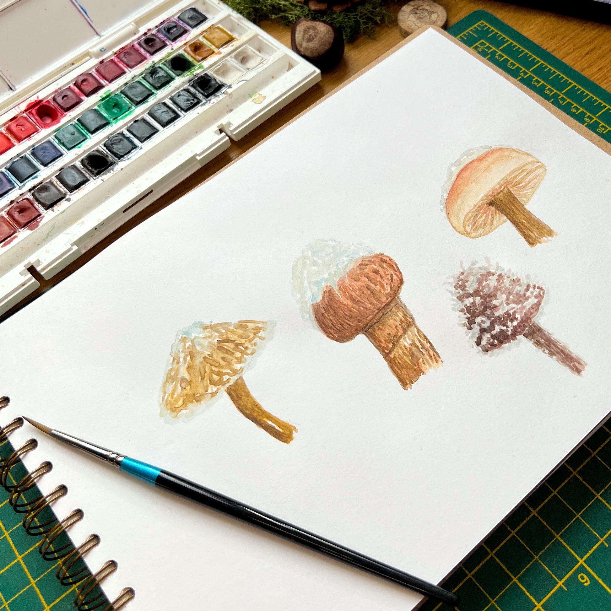 Wild snow topped mushrooms painted in watercolour in a white paged sketchbook