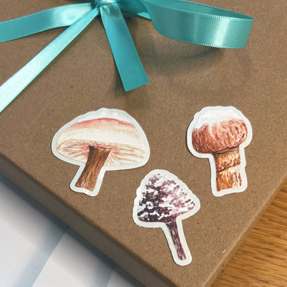Winter Mushroom Letter Writing Box Set