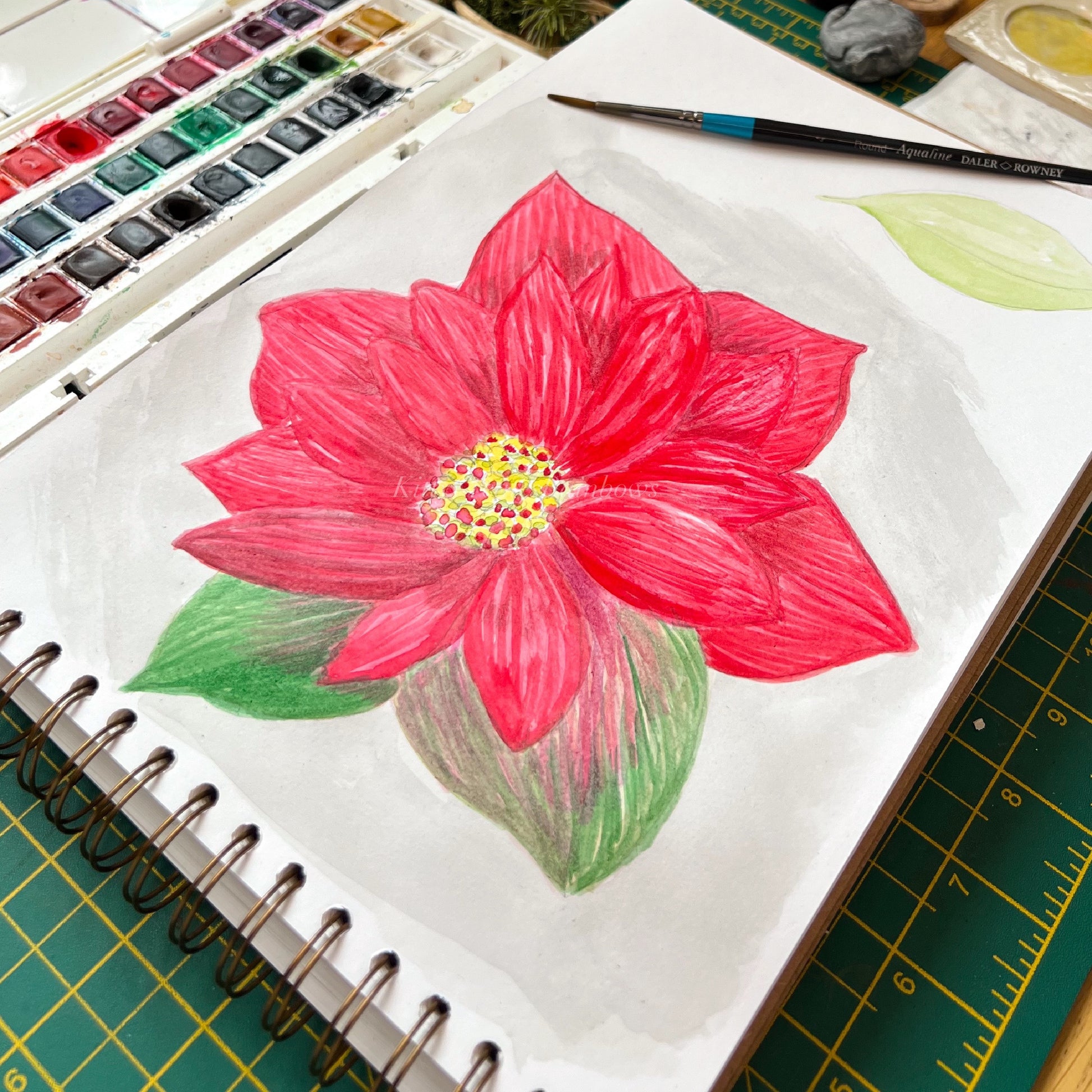 Watercolour painting of a red poinsettia in sketchbook by Kat Lovatt