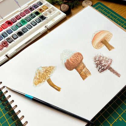 Wild snow topped mushrooms painted in watercolour in a white paged sketchbook by Kat Lovatt