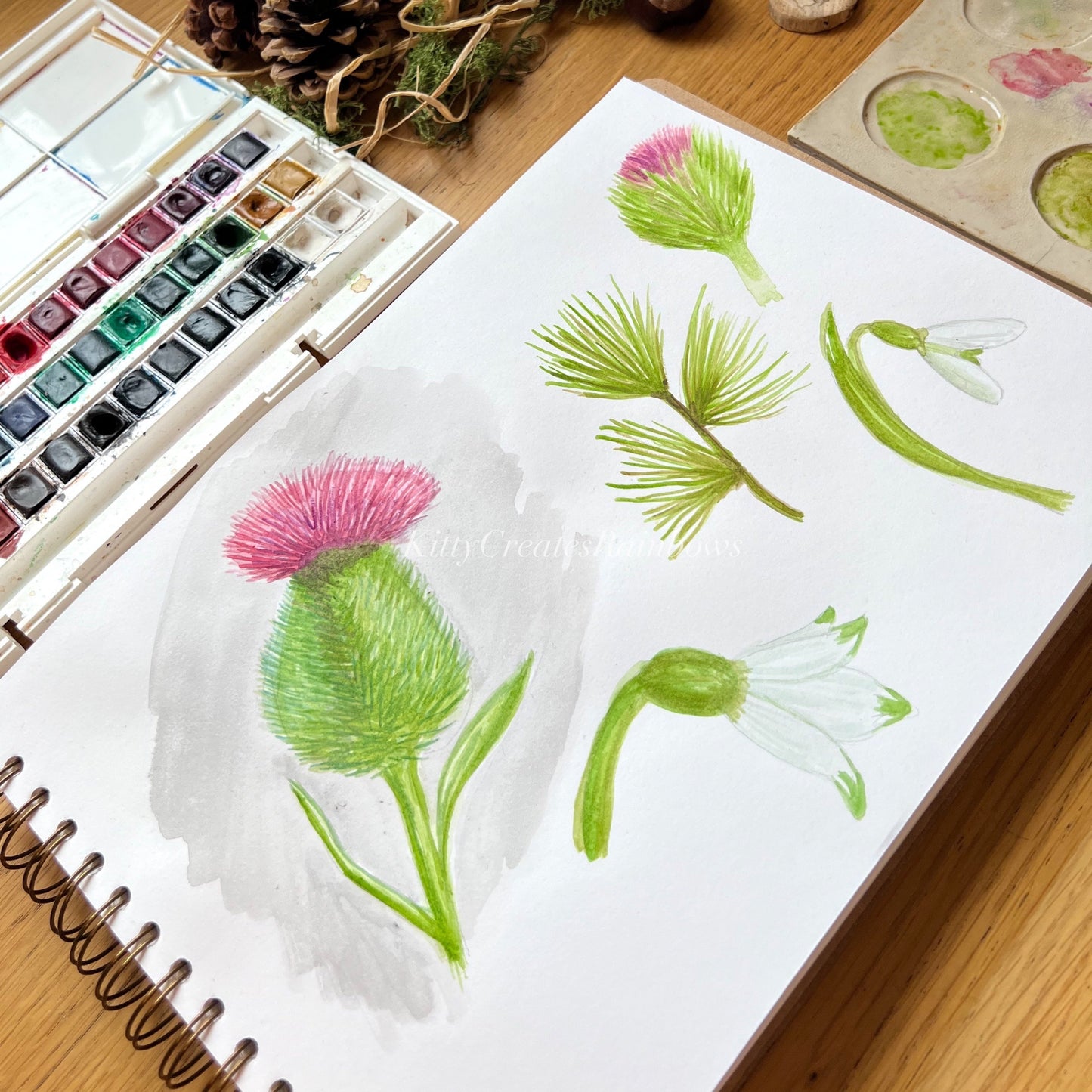 Watercolour sketches of thistle and snowdrops by Kat Lovatt