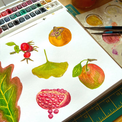 Original watercolour paintings of autumnal fruits by Kat Lovatt