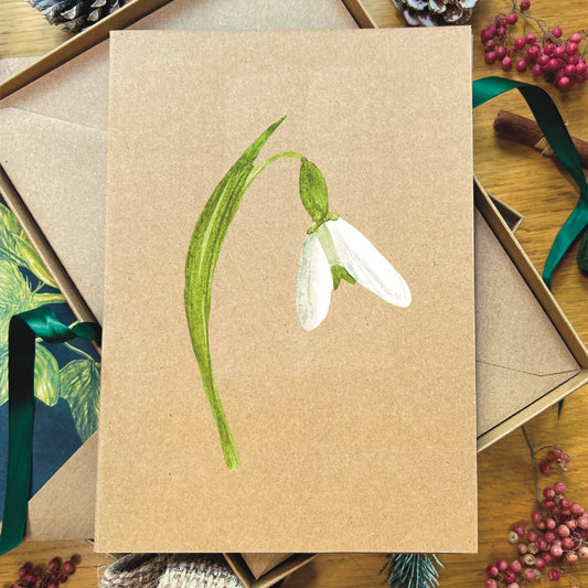 Snowdrop illustrated in watercolour attached to brown Manila recycled greetings card on a wooden desk