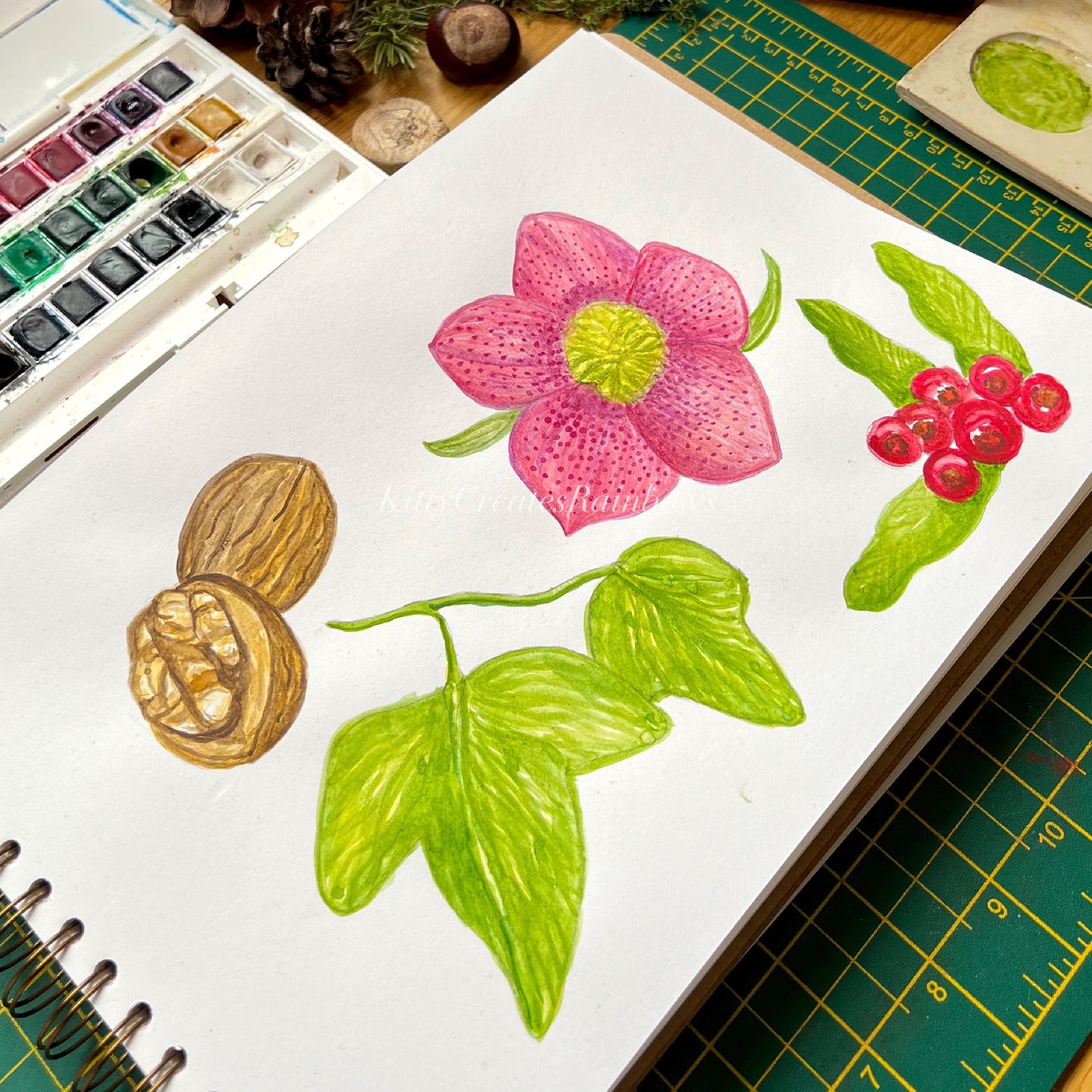 Original watercolour paintings of winter botanicals by Kat Lovatt